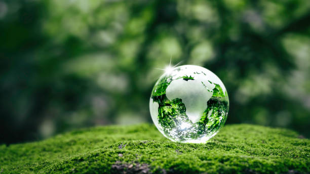 Green and world